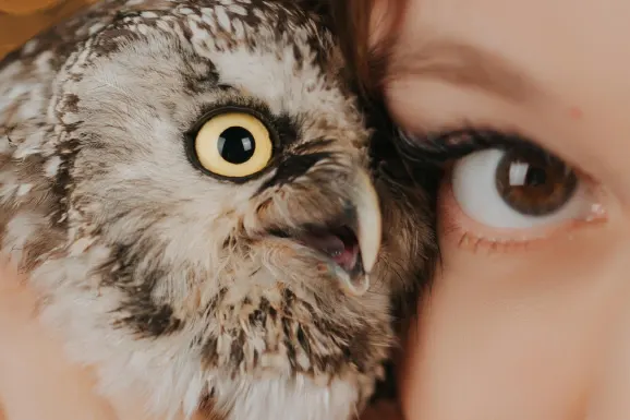 Betitall Casino Ondersteuning